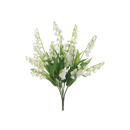 Lily of The Valley Bush